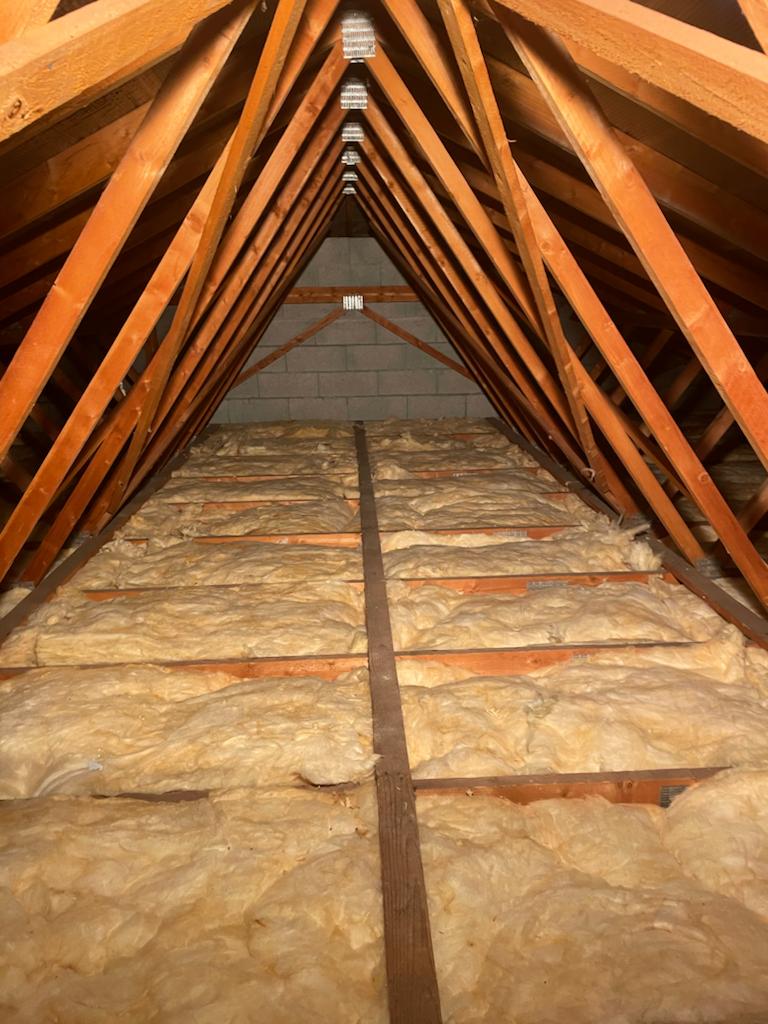 Démoussage de toiture